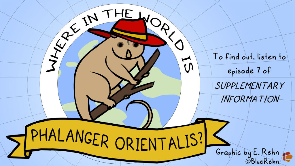 A cartoon illustration of a cuscus holding a branch and wearing a red hat in the style of Carmen Sandiego, on a background showing a globe and radiating lines. Text reads "Where in the world is Phalanger orientalis? To find out, listen to episode 7 of Supplementary Information"