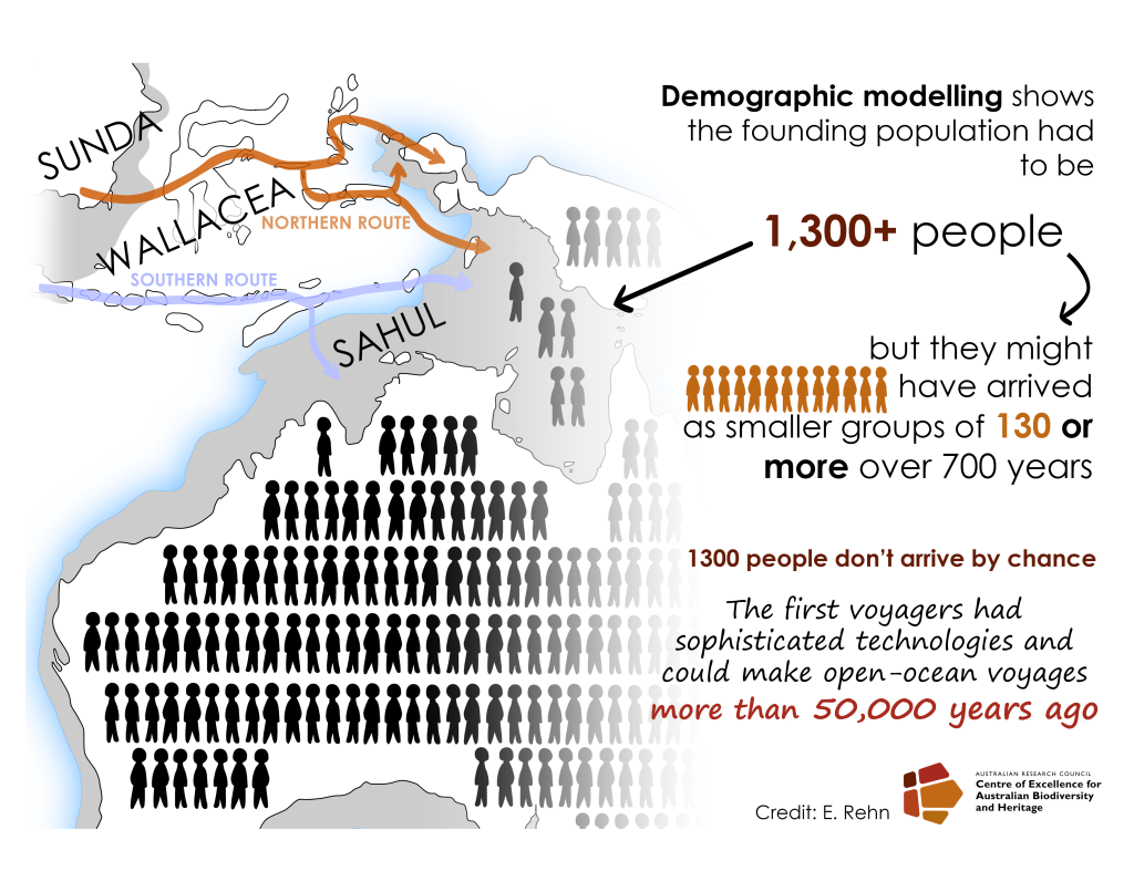 An infographic showing part of a map of Sahul (Australia, New Guinea, and the continental shelf) and southeast Asia with text alongside it. Arrows show a northern route from Sunda through Sulawesi and New Guinea and a southern route through Timor-Leste. Text describes that 1300+ people would be required for the founding population, and that they had sophisticated open-ocean voyaging technologies over 50,000 years ago