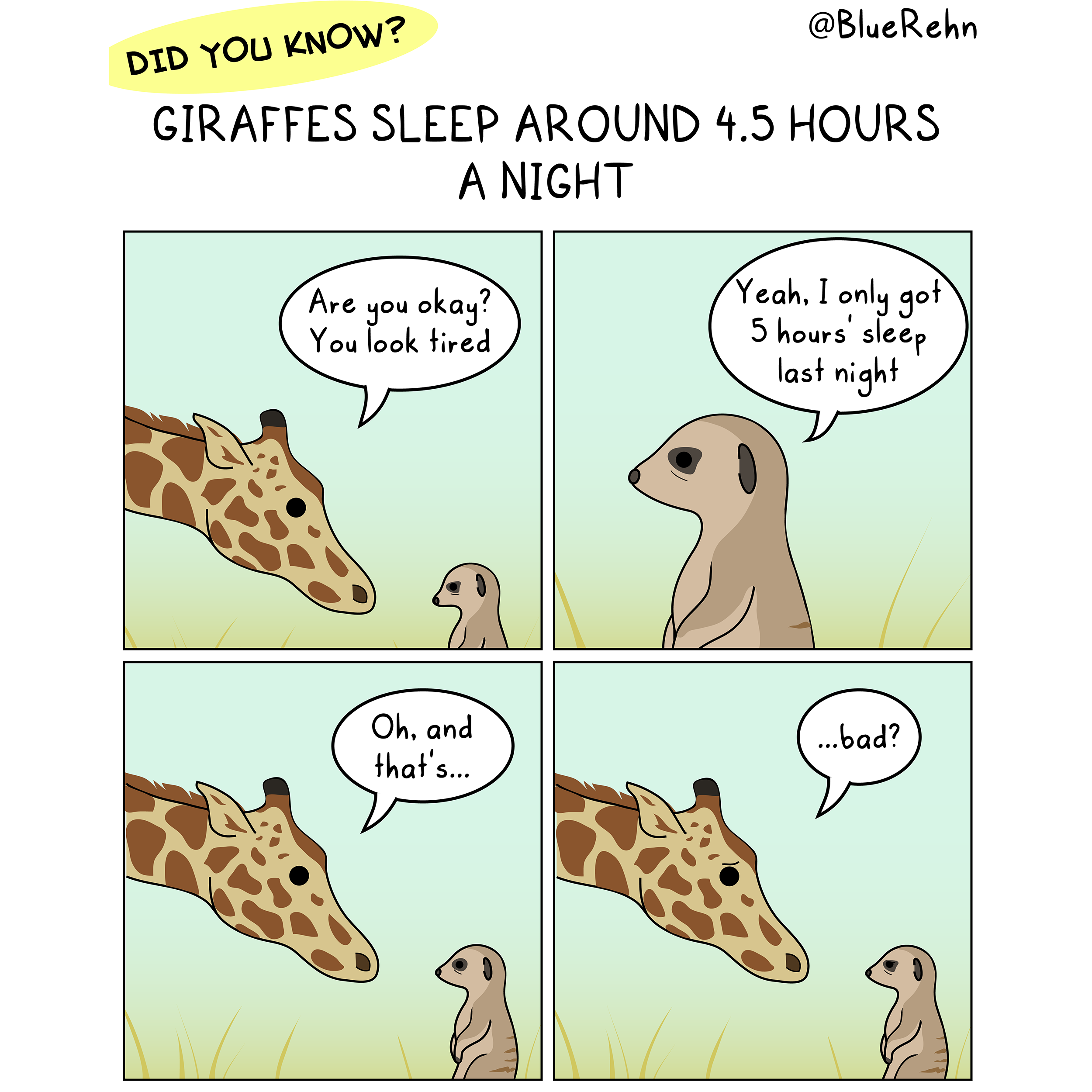Title reads: Did you know? Giraffes sleep around 4.5 hours a night. Four comic panels show a giraffe talking to a tired-looking meerkat. Giraffe: Are you okay? You look tired. Meerkat: Yeah, I only got 5 hours' sleep last night. Giraffe: Oh, and that's... bad?